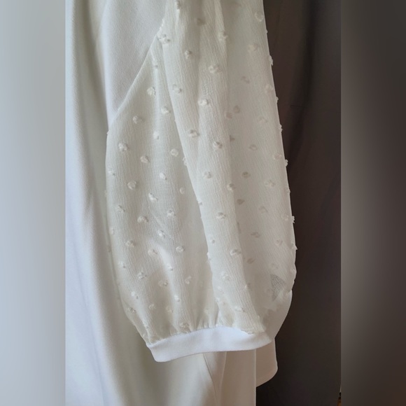 Premise Swiss Dot Puff Sleeve Top 🤍 - Picture 7 of 10